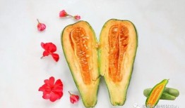 怀仁最近网红大瓜,揭秘背后惊人真相